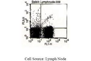 Hamster anti T-Cell Receptor TCR gamma/delta GL3 (TCR gamma/delta antibody  (PE-Cy5))