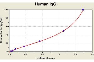 Diagramm of the ELISA kit to detect Human 1 gGwith the optical density on the x-axis and the concentration on the y-axis. (IgG ELISA Kit)