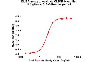 Claudin 9 Protein (CLDN9)