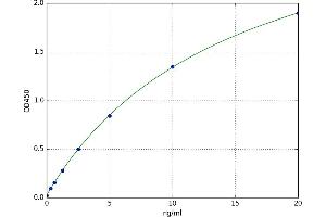 A typical standard curve (G Protein-Coupled Receptor 116 ELISA Kit)