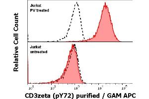 Flow Cytometry (FACS) image for anti-CD247 Molecule (CD247) (Tyr72) antibody (ABIN2749060)