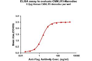 Elisa plates were pre-coated with Flag Tag CM-Nanodisc (0. (CMKLR1 Protein)