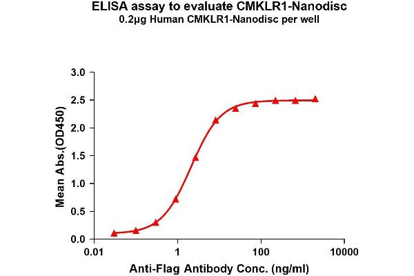 CMKLR1 Protein