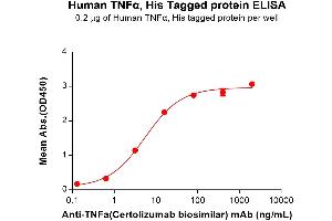 ELISA plate pre-coated by 2 μg/mL (100 μL/well) Human TNFα Protein, His Tag (ABIN6961133, ABIN7042295 and ABIN7042296) can bind Anti-TNFa(Certolizumab biosimilar) mAb ((ABIN7538773)) in a linear range of 0. (TNF alpha Protein (AA 77-233) (His tag))