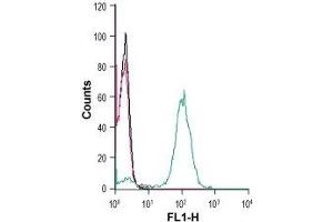 Cell surface detection of CX3CR1 in human THP-1 monocytic leukemia cells:(black line) Cells. (CX3CR1 antibody  (Extracellular, N-Term))