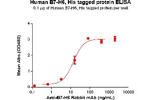 ELISA plate pre-coated by 1 μg/mL (100 μL/well) Human B7-H6 Protein, His Tag(ABIN6964097, ABIN7042449 and ABIN7042450) can bind Anti-B7-H6 Rabbit mAb in a linear range of 3. (B7-H6 Protein (AA 25-262) (His tag))