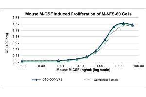 SDS-PAGE of Mouse Macrophage Colony Stimulating Factor Recombinant Protein Bioactivity of Mouse Macrophage Colony Stimulating Factor Recombinant Protein. (M-CSF/CSF1 Protein)