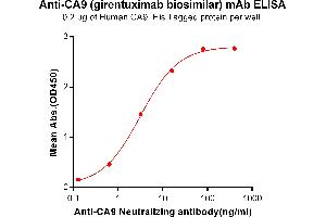 ELISA plate pre-coated by 2 μg/mL (100 μL/well) Human CA9, His tagged protein ABIN6964087, ABIN7042429 and ABIN7042430 can bind Anti-CA9 Neutralizing antibody (ABIN7093059 and ABIN7272589) in a linear range of 0. (Recombinant CA9 (Girentuximab Biosimilar) antibody)