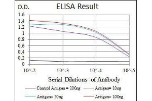 ELISA image for anti-Heat Shock Protein 90kDa alpha (Cytosolic), Class A Member 1 (HSP90AA1) antibody (ABIN969528)
