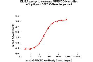 Elisa plates were added with Flag Tag GD-Nanodisc (0. (GPRC5D Protein)