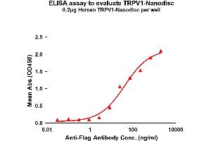 Elisa plates were pre-coated with Flag Tag T-Nanodisc (0. (TRPV1 Protein)