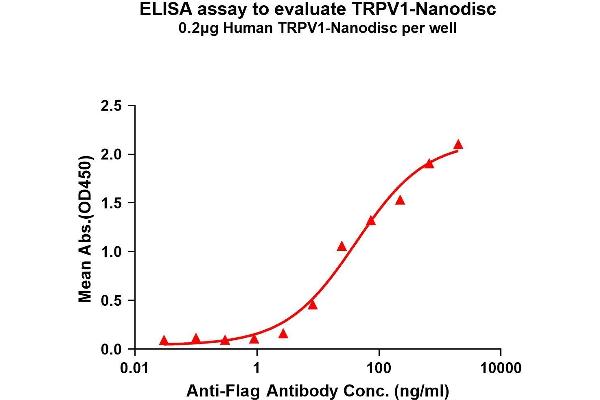 TRPV1 Protein