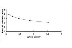 Image no. 1 for IgG2a ELISA Kit (ABIN1873492) (IgG2a ELISA Kit)