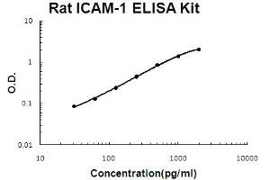 Rat ICAM-1 Accusignal ELISA Kit Rat ICAM-1 AccuSignal ELISA Kit standard curve. (ICAM1 ELISA Kit)