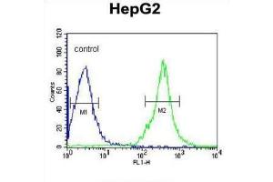 Flow Cytometry (FACS) image for anti-Fibrinogen gamma Chain (FGG) antibody (ABIN3003142) (FGG antibody)