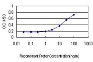 Detection limit for recombinant GST tagged CXCL5 is approximately 1ng/ml as a capture antibody. (CXCL5 antibody  (AA 1-114))