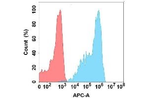 Flow cytometry analysis with Anti-F on Expi293 cells transfected with human F (Blue histogram) or Expi293 transfected with irrelevant protein (Red histogram). (FOLR2 antibody)