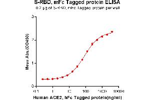 ELISA image for SARS-CoV-2 Spike (RBD) protein (mFc Tag) (ABIN6961175)