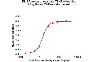 Elisa plates were pre-coated with Flag Tag TSHR-Nanodisc (0. (TSH receptor Protein)