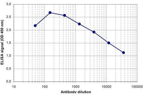 PAPOLA anticorps  (C-Term)