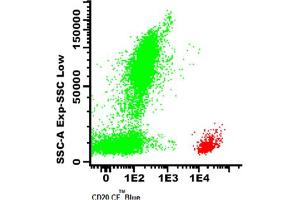 Image no. 1 for anti-Membrane-Spanning 4-Domains, Subfamily A, Member 1 (MS4A1) antibody (CF405M) (ABIN1112085) (CD20 antibody  (CF405M))