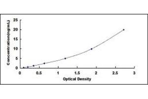 Tryptophan Hydroxylase 2 ELISA Kit