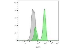 Flow cytometry analysis of lymphocyte-gated PBMCs unstained (gray) or stained with CF488A-labeled CD3 mouse monoclonal antibody (CRIS-7) (green) (CD3 epsilon antibody)