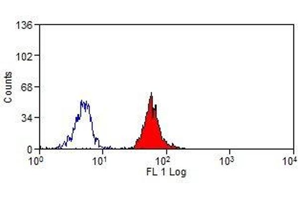 CD300a antibody  (PE)