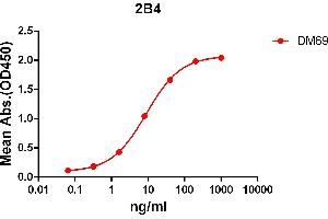 ELISA plate pre-coated by 2 μg/mL (100 μL/well) Human 2B4 protein, mFc-His tagged protein ABIN6961083, ABIN7042195 and ABIN7042196 can bind Rabbit anti-2B4 monoclonal antibody (clone: DM69) in a linear range of 1-100 ng/mL. (Recombinant 2B4 antibody  (AA 22-221))