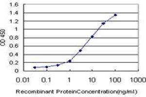 Detection limit for recombinant GST tagged EPHB3 is approximately 0. (EPH Receptor B3 antibody  (AA 899-997))