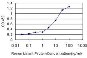 Detection limit for recombinant GST tagged RANBP3 is approximately 0. (RanBP3 antibody  (AA 298-397))