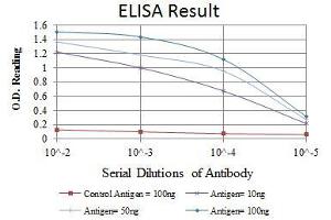 ELISA image for anti-Minichromosome Maintenance Complex Component 2 (MCM2) antibody (ABIN969280)