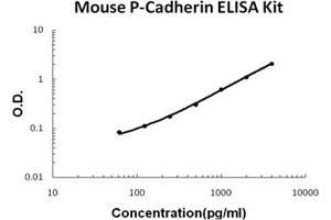 Mouse P-Cadherin Accusignal ELISA Kit Mouse P-Cadherin AccuSignal ELISA Kit standard curve. (P-Cadherin ELISA Kit)