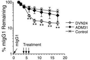 Tracer plasma concentrations were determined by ELISA and plotted either as percent remaining as compared with the first time point plasma concentrations or as plasma concentrations ±SD. (FcRn antibody)