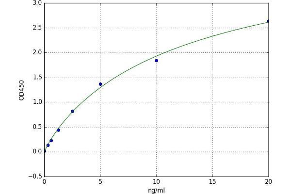 ERLIN1 ELISA Kit