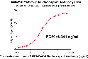 Elisa plate pre-coated by 2 μg/mL(100 μL/well) SARS-CoV-2 Nucleocapsid protein, His Tag ABIN6961146, ABIN7042321 and ABIN7042322 can bind Rabbit Anti-SARS-CoV-2 Nucleocapsid monoclonal antibody(clone:DM22) in a linear range of 0. (SARS-CoV-2 Nucleocapsid antibody)