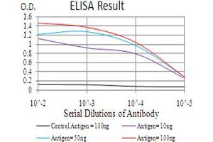 ELISA image for anti-Coactosin-Like Protein antibody (ABIN969509)