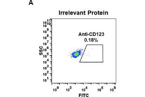 Expi 293 cell line transfected with irrelevant protein (left) and human CD123(right) were surface stained with Rabbit anti-CD123 monoclonal antibody 1 μg/mL (clone: DM31) followed by Alexa 488-conjugated anti-rabbit IgG secondary antibody. (IL3RA antibody  (AA 19-305))