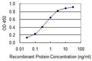 Detection limit for recombinant GST tagged BRCA2 is 0. (BRCA2 antibody  (AA 3319-3418))