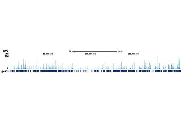 RUNX1T1 antibody  (Internal Region, N-Term)