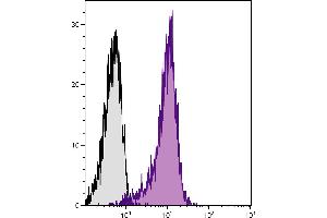 BALB/c mouse thymocytes were stained with Hamster Anti-Mouse CD28-UNLB. (CD28 antibody)