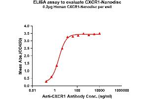 Elisa plates were pre-coated with Flag Tag C-Nanodisc (0. (CXCR1 Protein)