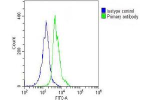 Overlay histogram showing THP-1 cells stained with Antibody (green line). (Very Low Density Lipoprotein (VLDL) (AA 484-510) antibody)