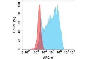 Flow cytometry analysis with Anti-ANG (DM205) on Expi293 cells transfected with human ANG (Blue histogram) or Expi293 transfected with irrelevant protein (Red histogram). (ANGPTL3 antibody)