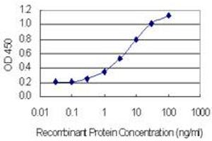 Detection limit for recombinant GST tagged HKR1 is 0. (HKR1 antibody  (AA 191-290))