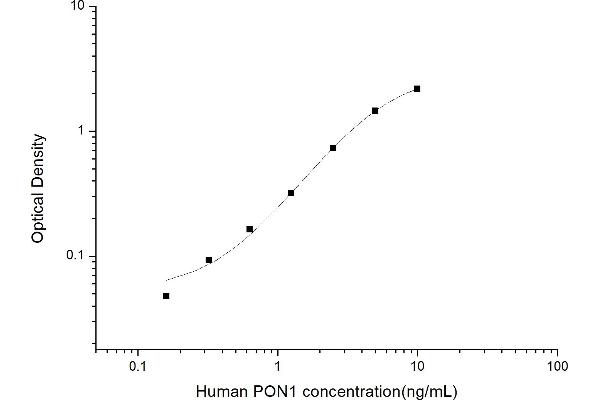 PON1 ELISA Kit