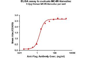 Elisa plates were pre-coated with Flag Tag MC4R-Nanodisc (0. (MC4R Protein)