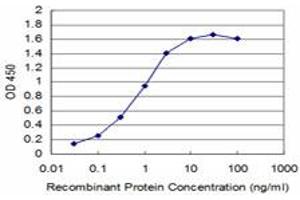 Detection limit for recombinant GST tagged TRIM16 is approximately 0. (TRIM16 antibody  (AA 165-273))