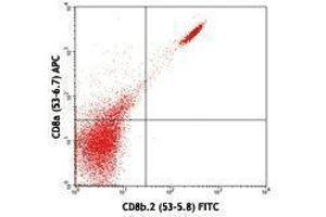 Flow Cytometry (FACS) image for anti-CD8b Molecule Pseudogene (CD8BP) antibody (ABIN2664870) (CD8b.2 antibody)