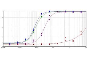 ELISA results of purified Goat F(ab')2 Anti-MOUSE IgG F(c) Antibody Biotin Conjugated Min X Bv Hs & Hu Serum Proteins tested against purified Mouse IgG F(c) (Green Line). (Goat anti-Mouse IgG (Fc Region) Antibody (Biotin) - Preadsorbed)